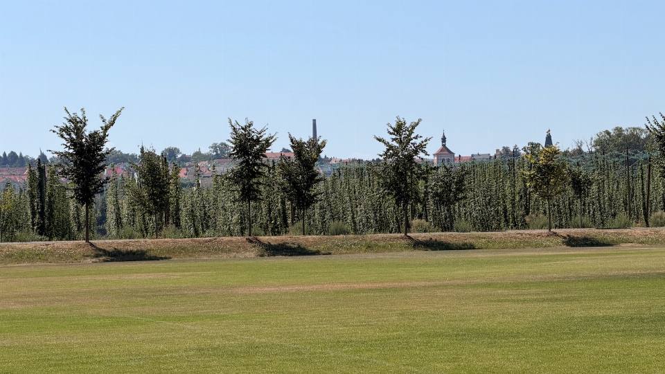 Chmelnice školního statku, v pozadí panorama Roudnice nad Labem
